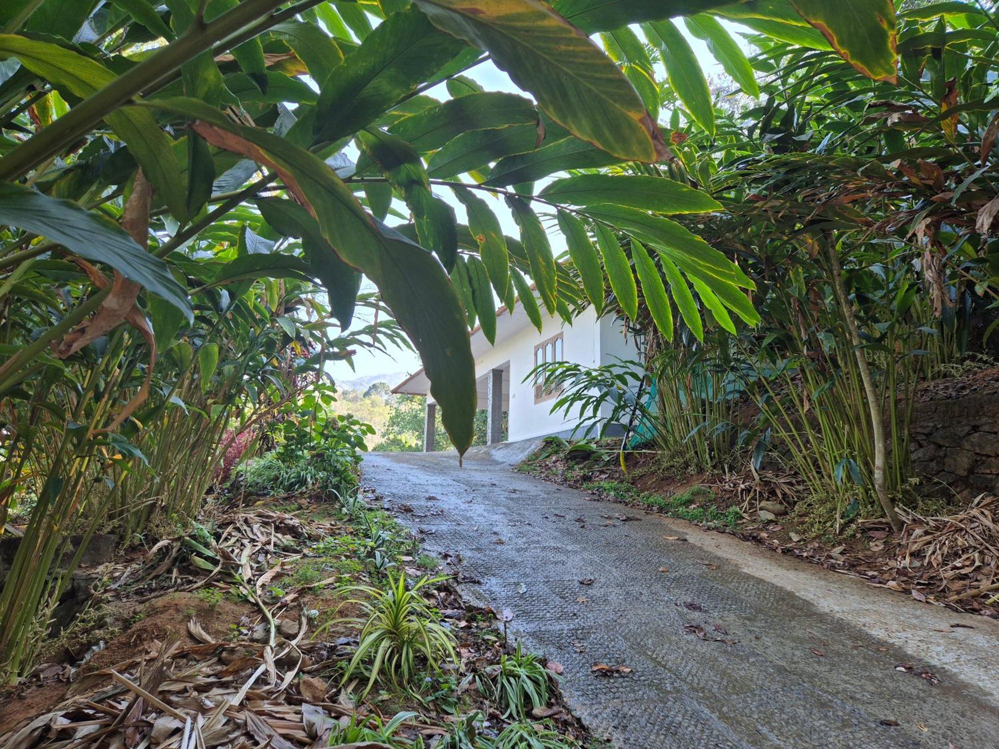 Anivilla Holiday Home Kunjithanny Anachal Exterior foto